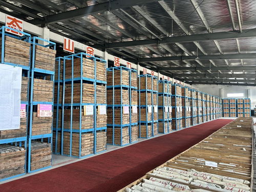 山東黃金探明國內最大單體金礦床，交出高質量發展新答卷