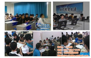 信息技術綜合服務 從咨詢到開發(fā)的全面解決方案