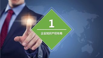 專利咨詢與知識產(chǎn)權布局 企業(yè)創(chuàng)新與發(fā)展的關鍵路徑