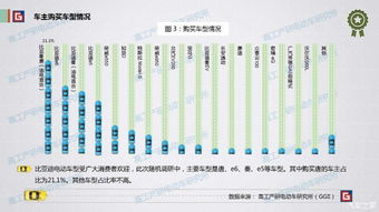 新能源乘用車終端市場調(diào)研報告 用戶偏好與市場格局分析